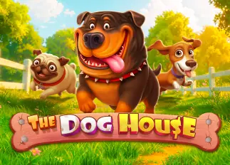 The Dog House lava1688